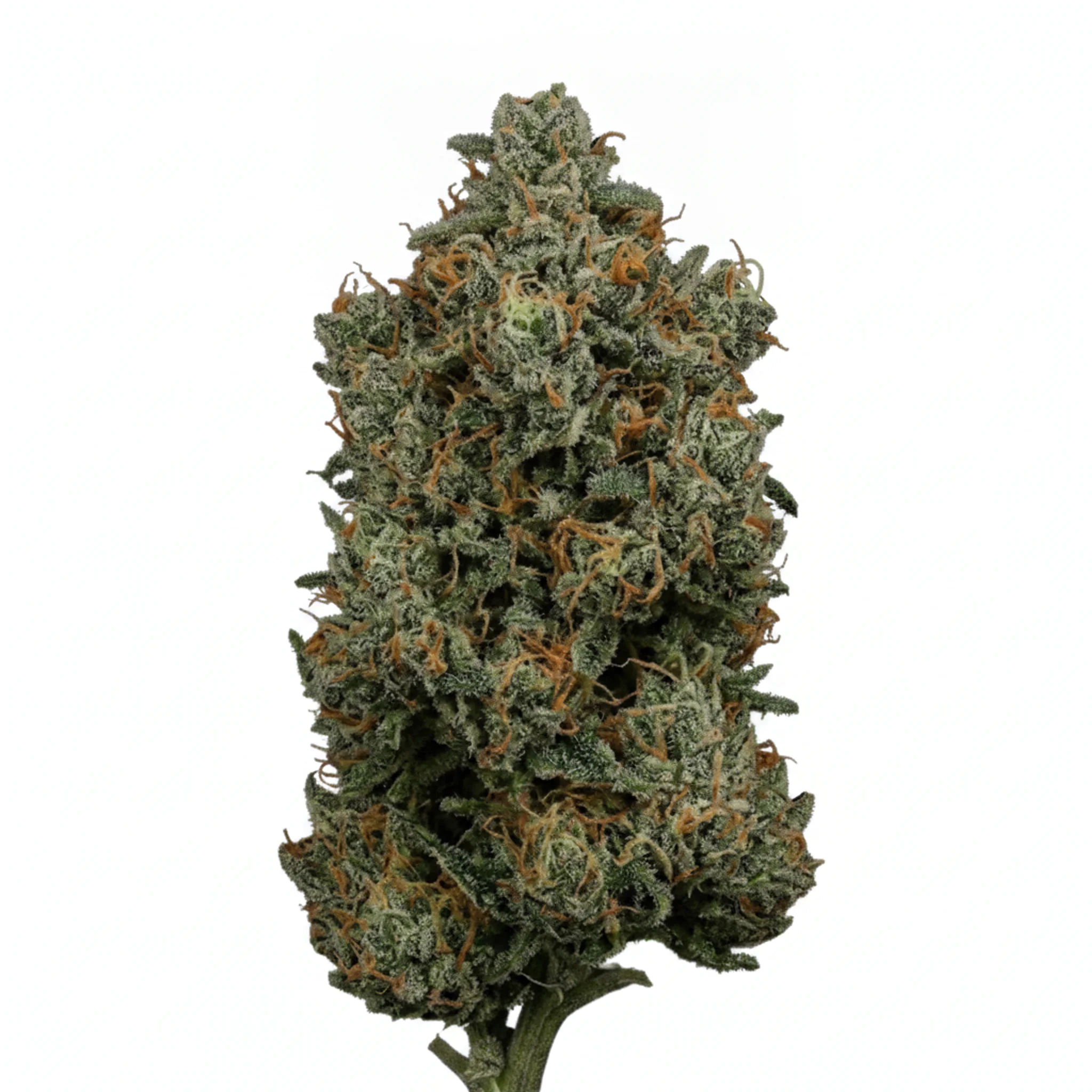 Image of APEX GEP-PT 29