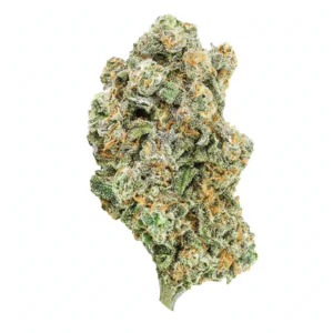 Image of avaay Signature 23/1 LEM