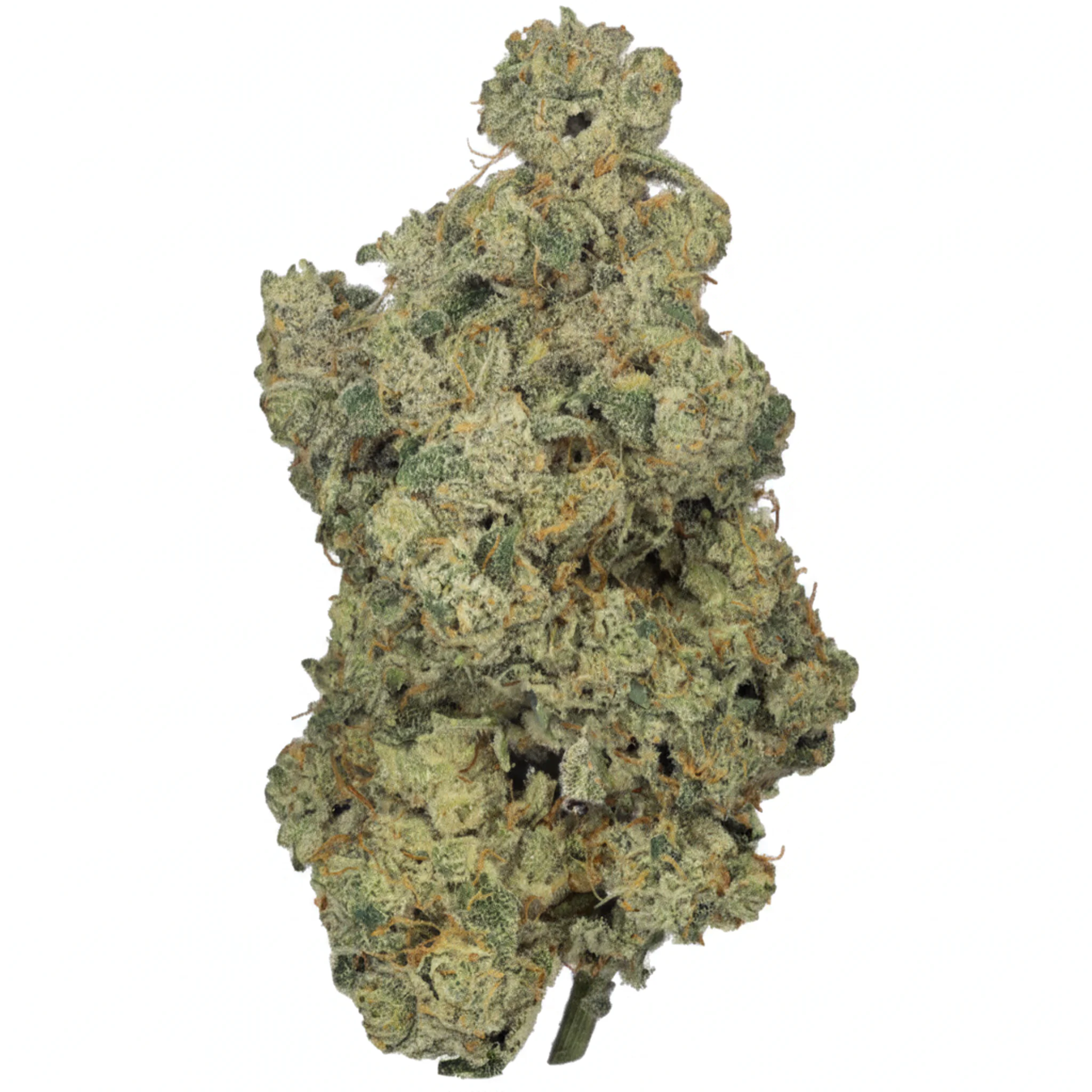 Image of Bathera 26 CA MDL