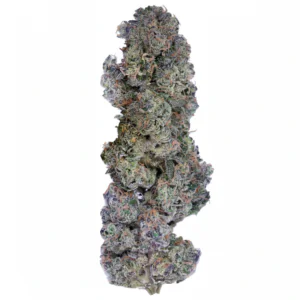 Image of INCR Cookies ORiGiNALS ANB 26/1