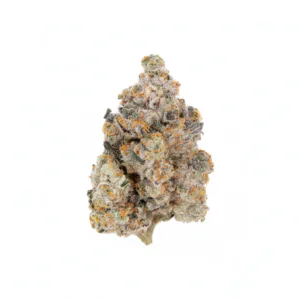 Image of Bathera 27 CA E85