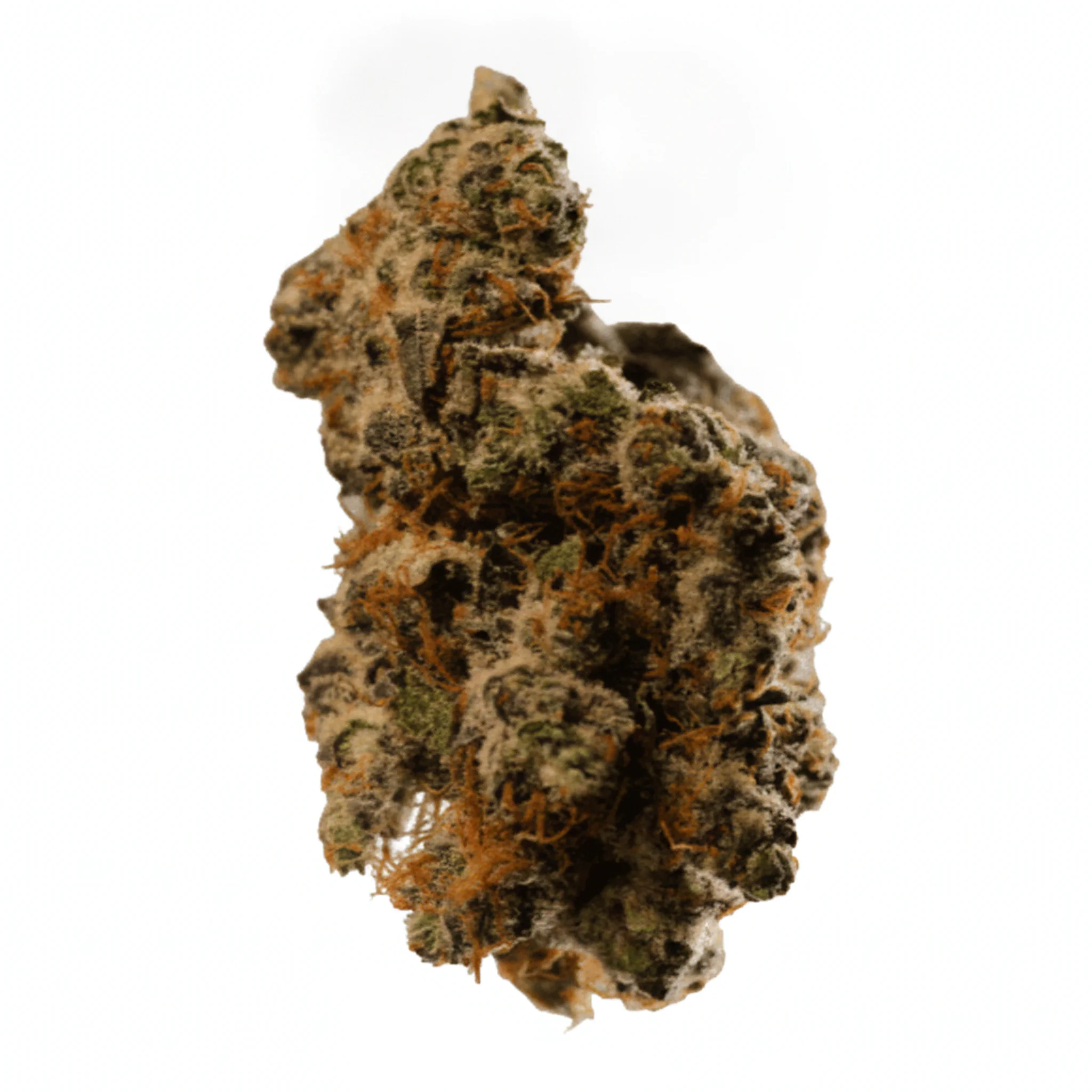 Bathera 29/1 CA TK Triangle Kush product photo
