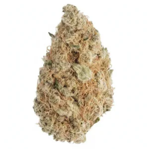 Image of Cannabis flos 24/1 CZE Ku. Platinum Garlic
