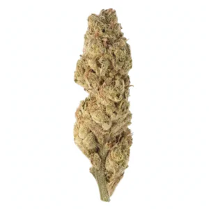Image of Cannabis flos 25/1 LS Ku. Platinum Punch