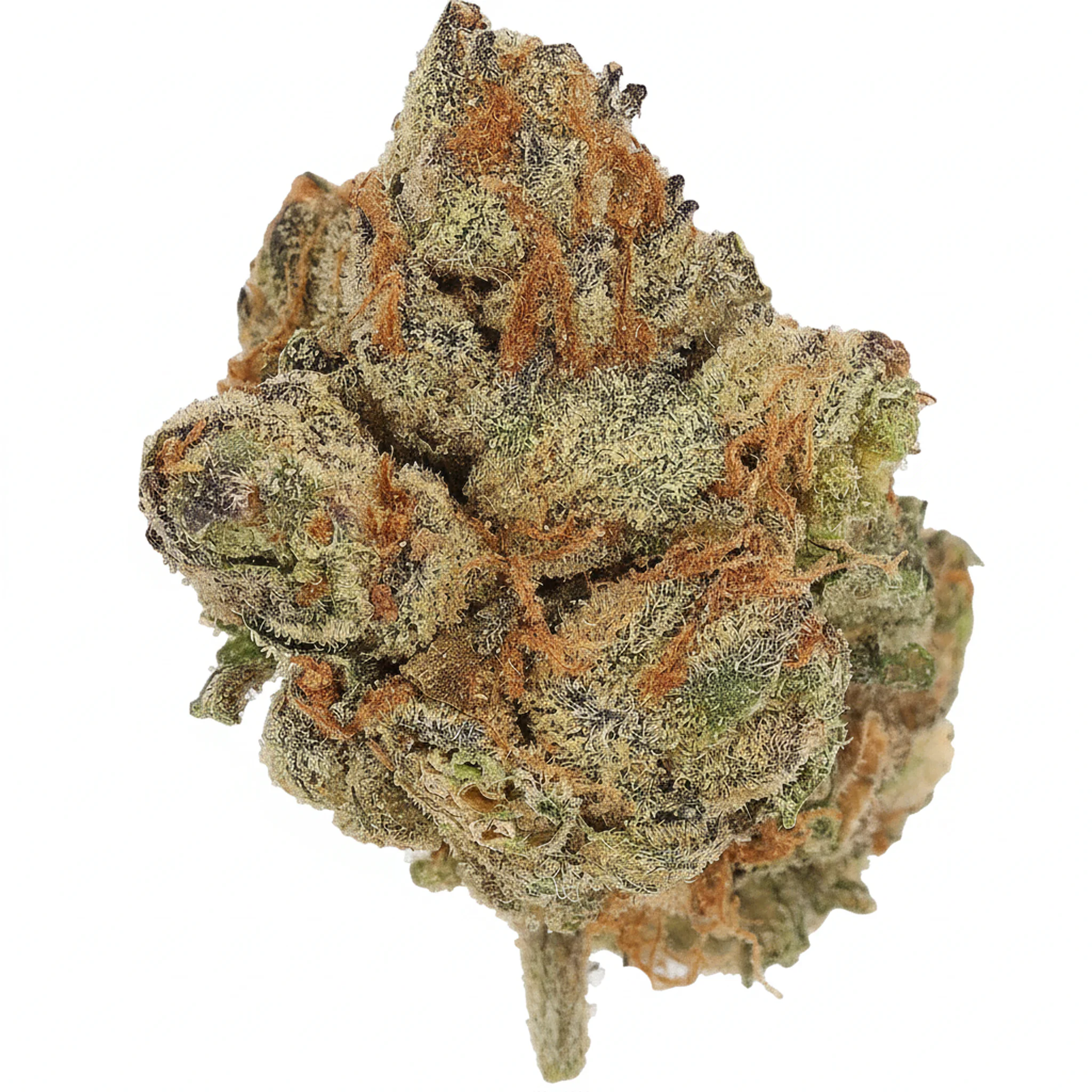 Image of Cannamedical Indica Classic ZAF GG