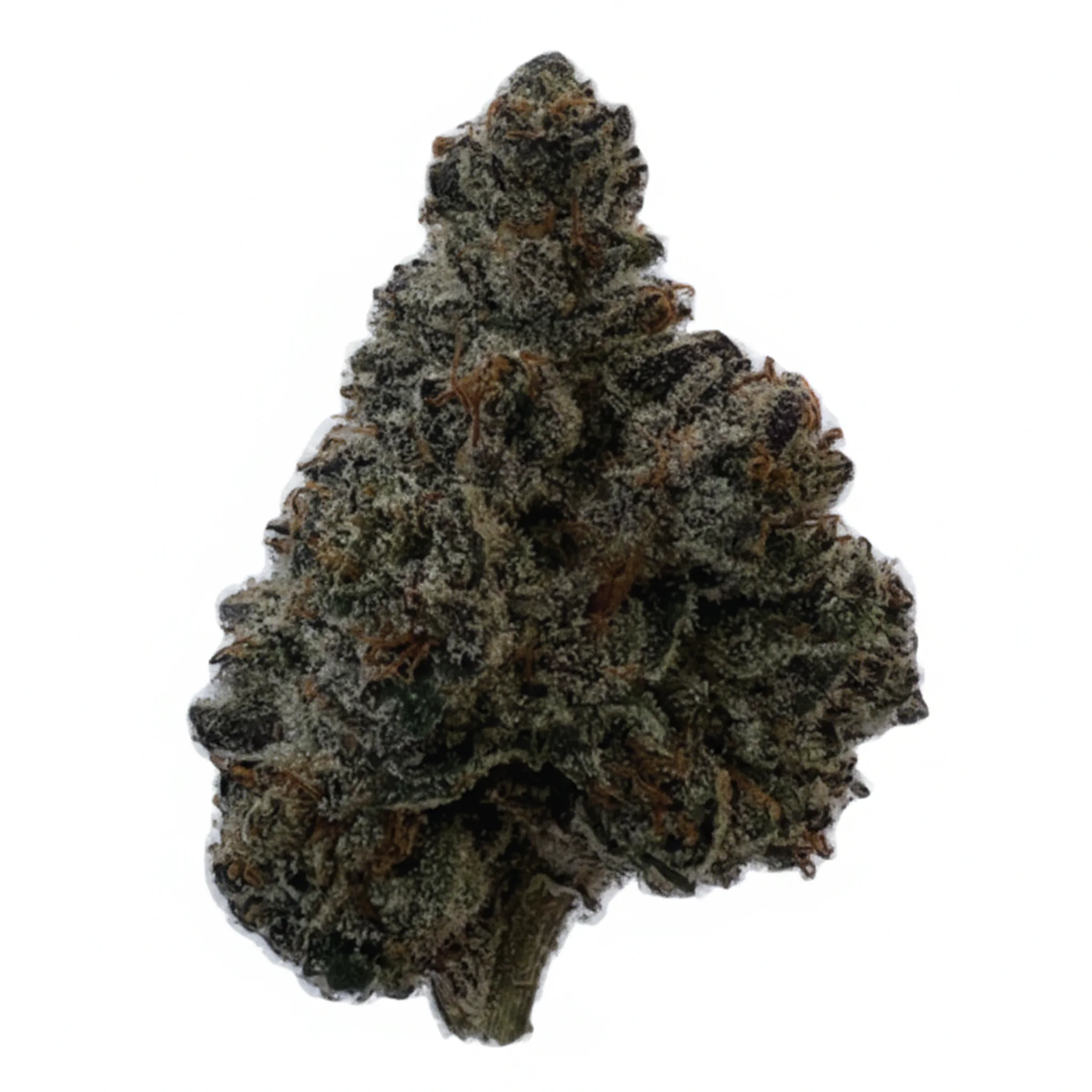 Image of FAAFO Cannabis 24/1 MJR