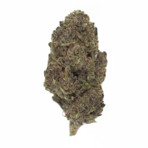 Image of Luana 20/1 Tropic