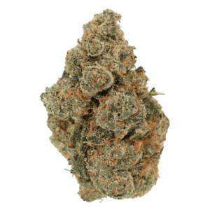 Image of Luana 28/1 GCG