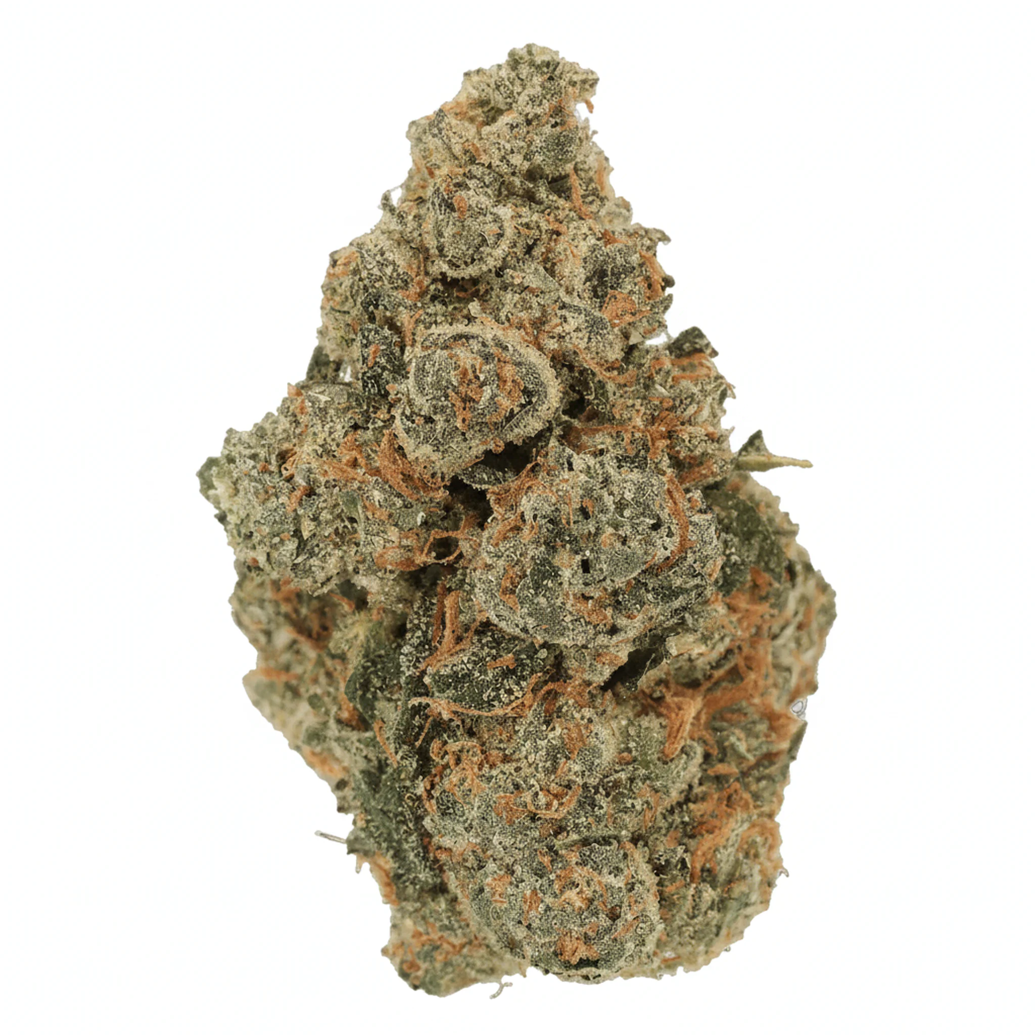 Image of Luana 28/1 GCG