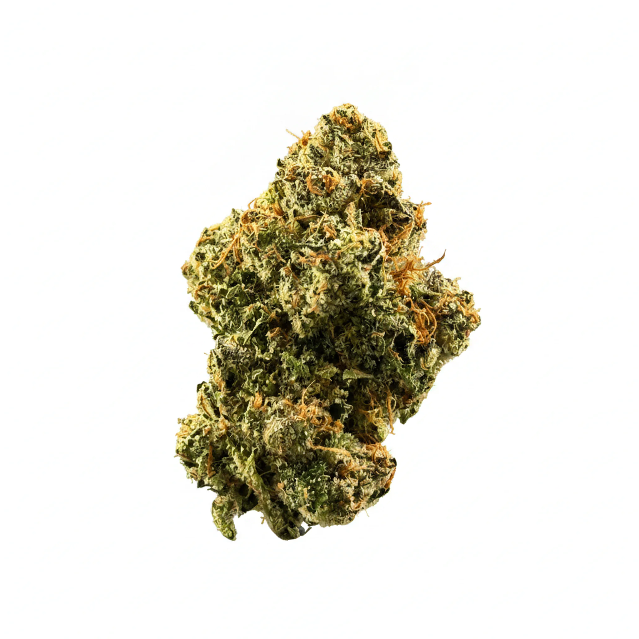 Bathera 33/1 LCG Lemon Cherry Gelato Produktfoto