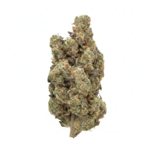 Image of Organic Sweetgrass CB 29/1
