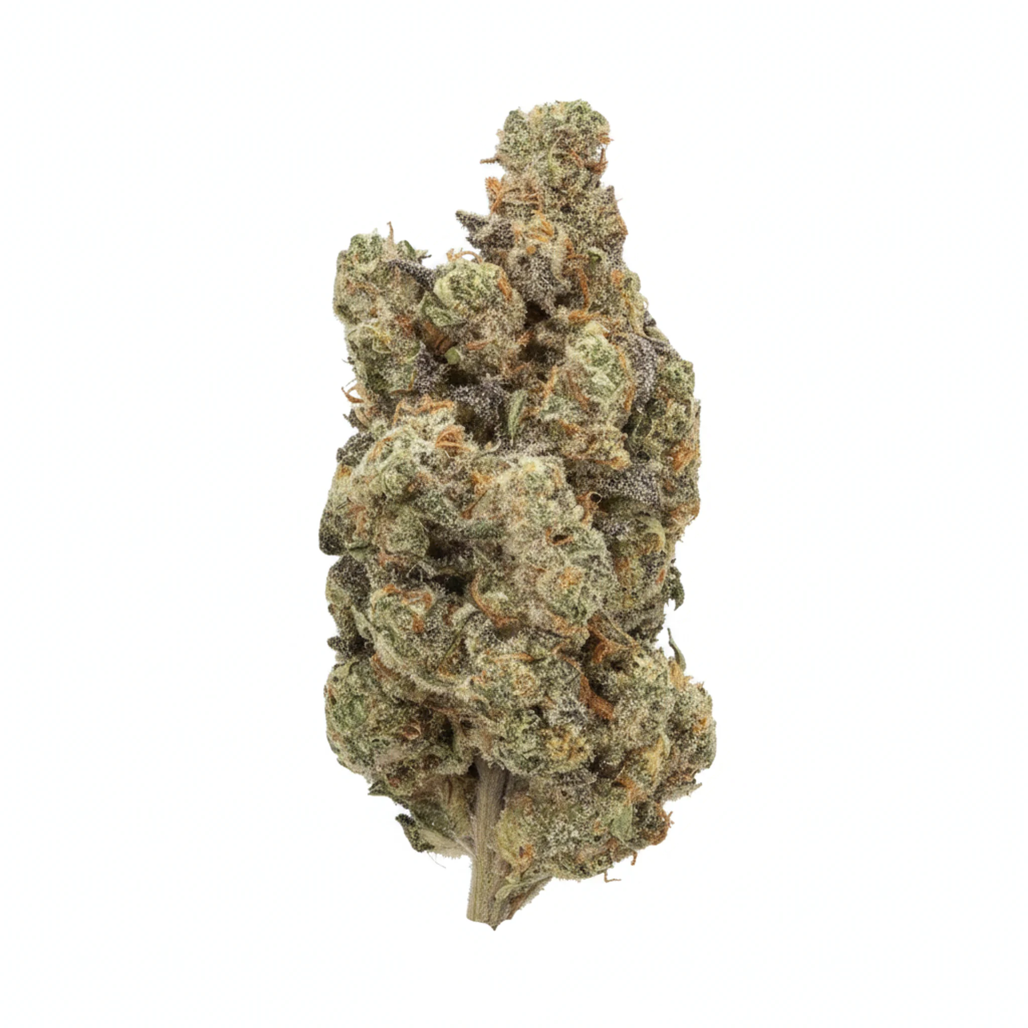 Organic Sweetgrass CB 29/1 Crunch Berries Produktfoto