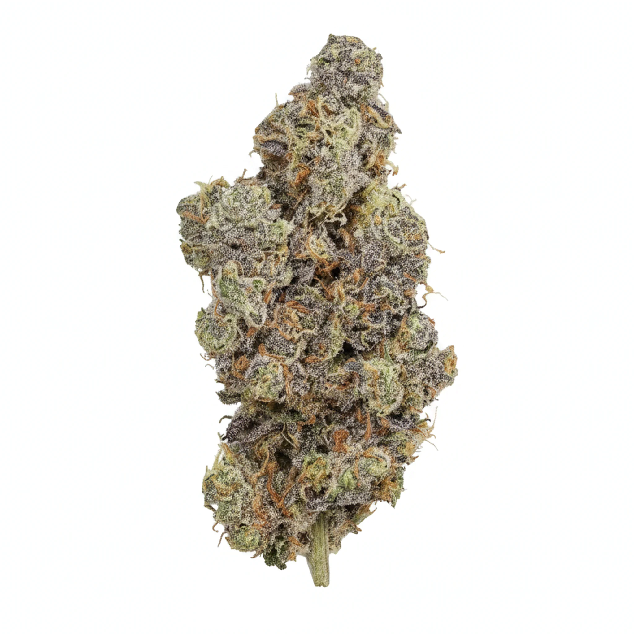 Organic Sweetgrass MCC 27/1 Mint Chocolate Chips Produktfoto