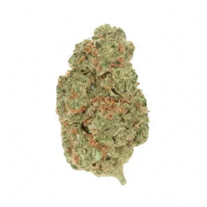 Image of Origine Nature CHEM 29/1
