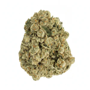 Image of Pedanios 29/1 SRD CA