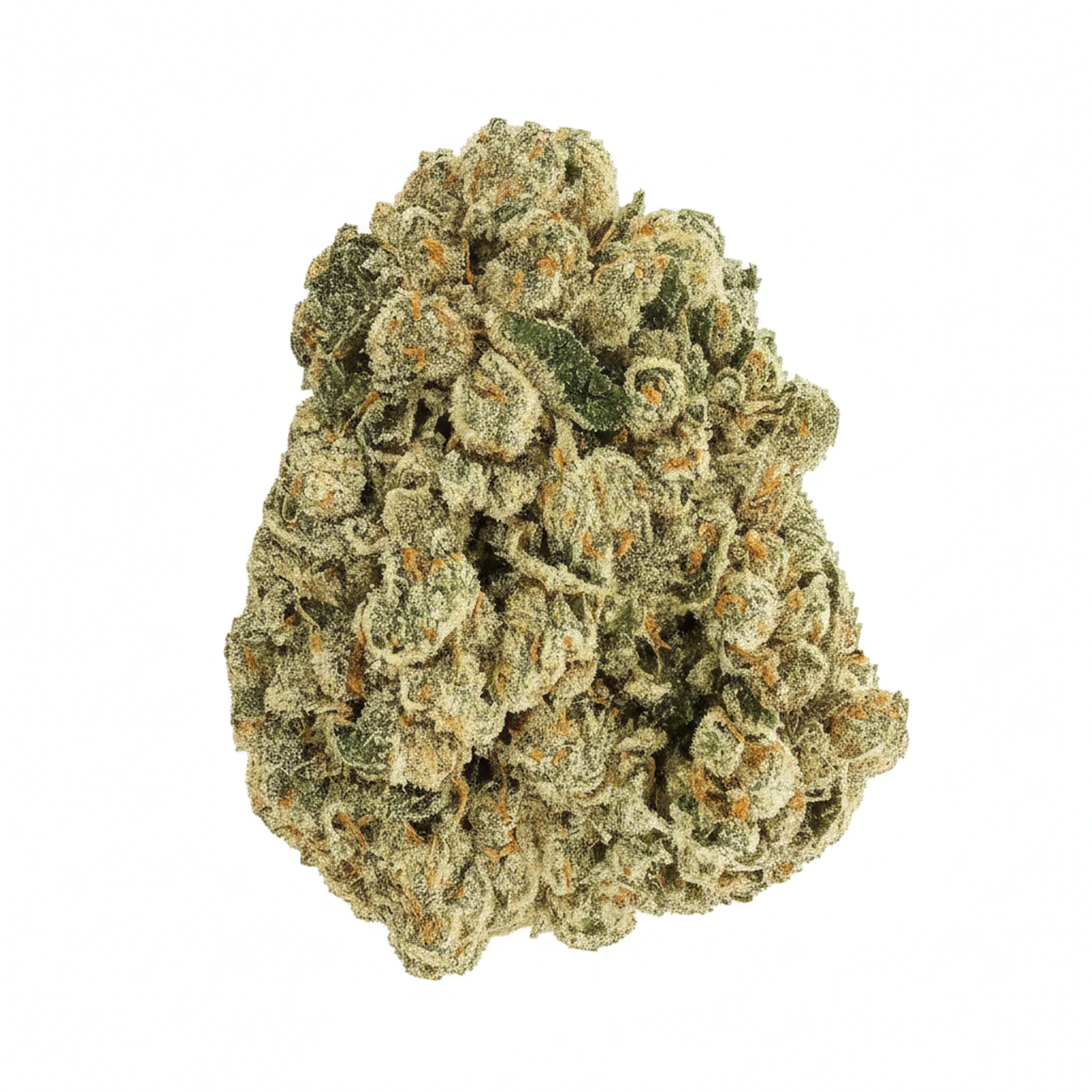 Image of Pedanios 29/1 SRD CA