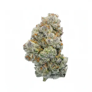 Image of PHCANN Exotics 30/1 Spritzer
