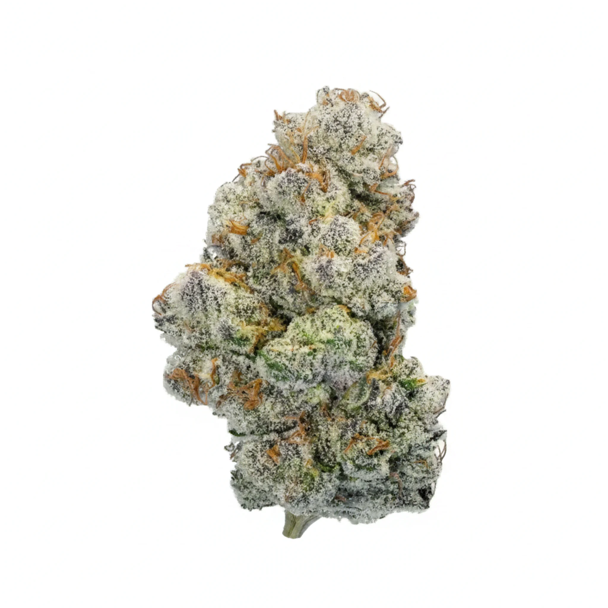 Image of PHCANN Exotics 30/1 Spritzer