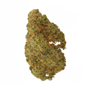 Image of SEVEN MAESTRO 30/1
