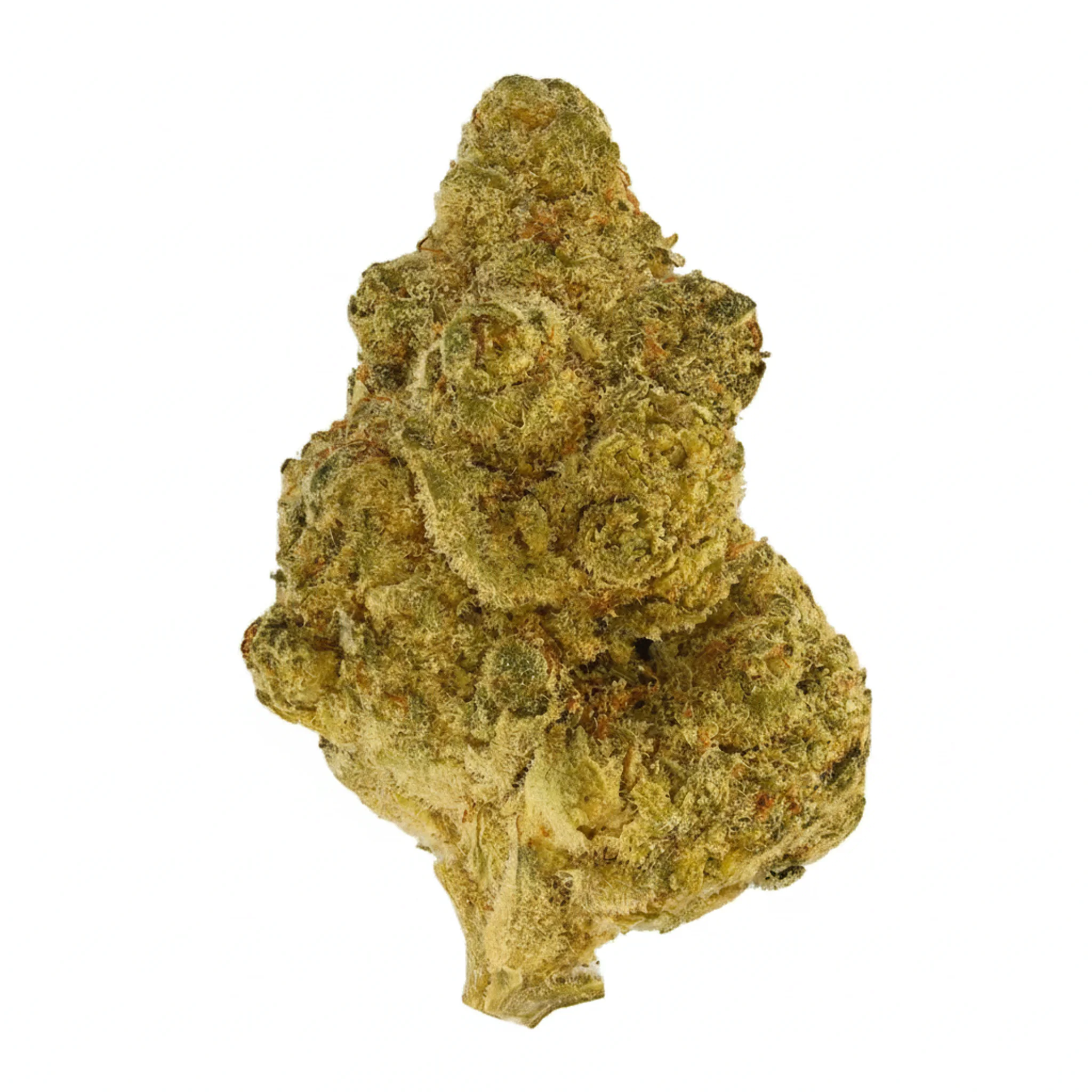 Image of Sumo PAB