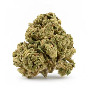 Image of TRUU GT 24:01 Prime Lime