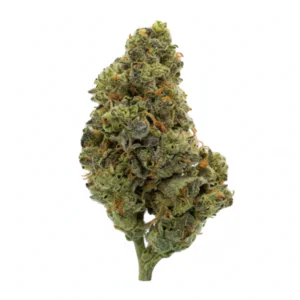Image of Tweed BMT 33