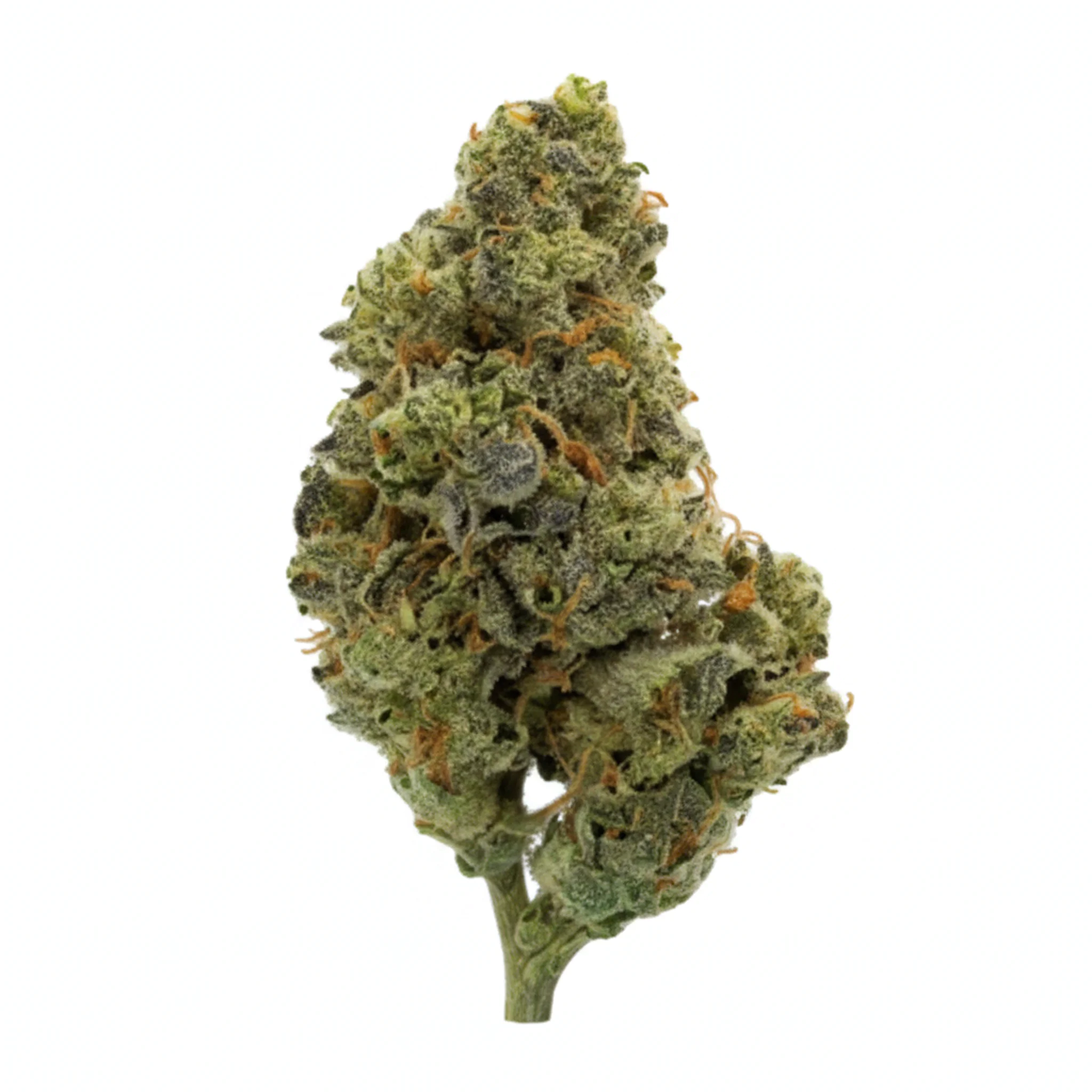 Image of Tweed BMT 33