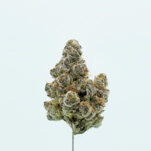 Image of Tweed FDF 30/1
