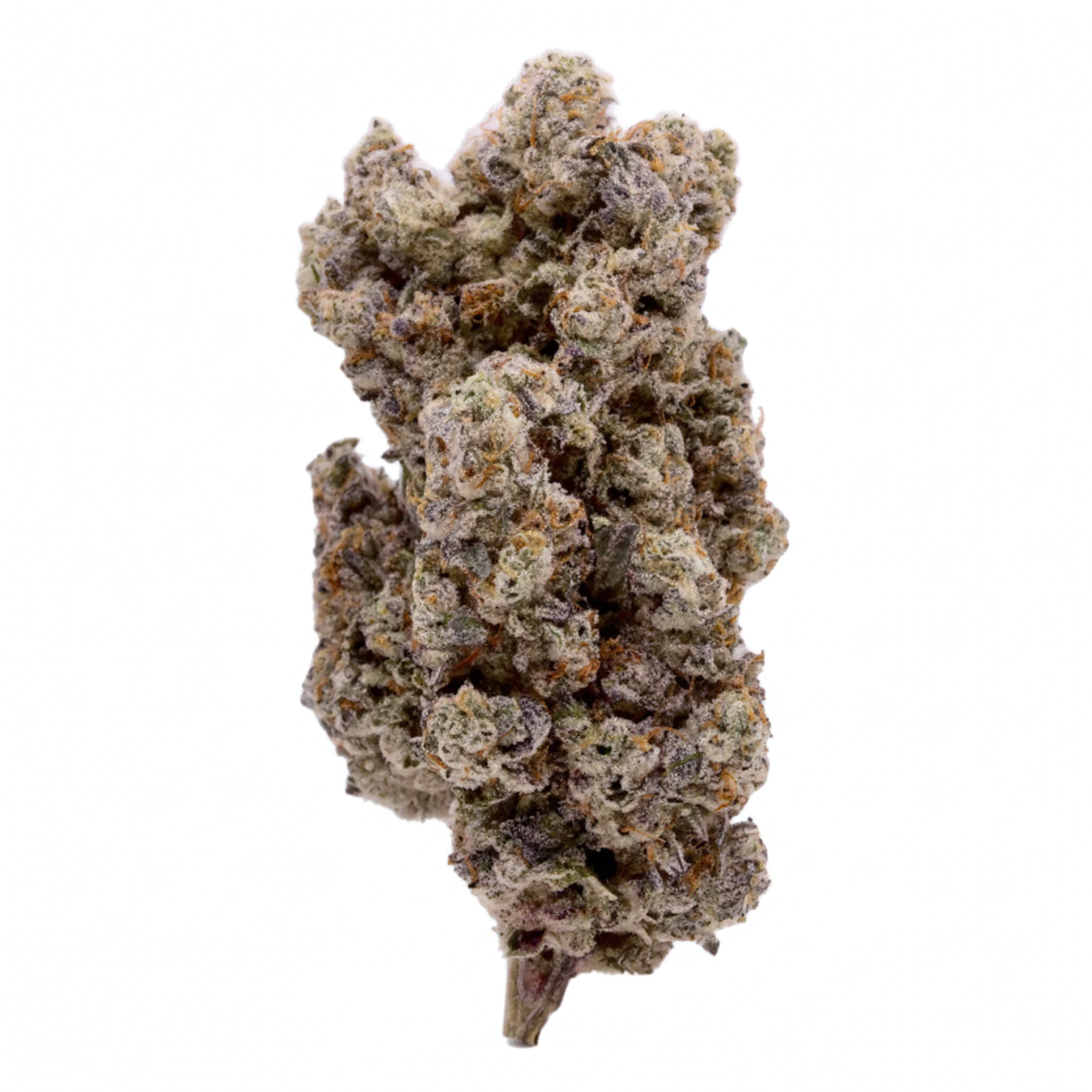 Image of VCC 33/1 GWA