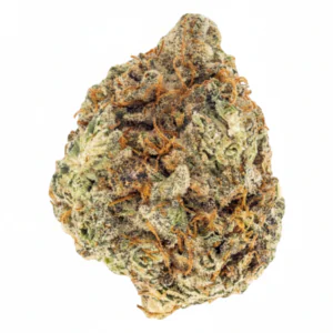 Image of Wellford Aquaponic 28/1 ATG