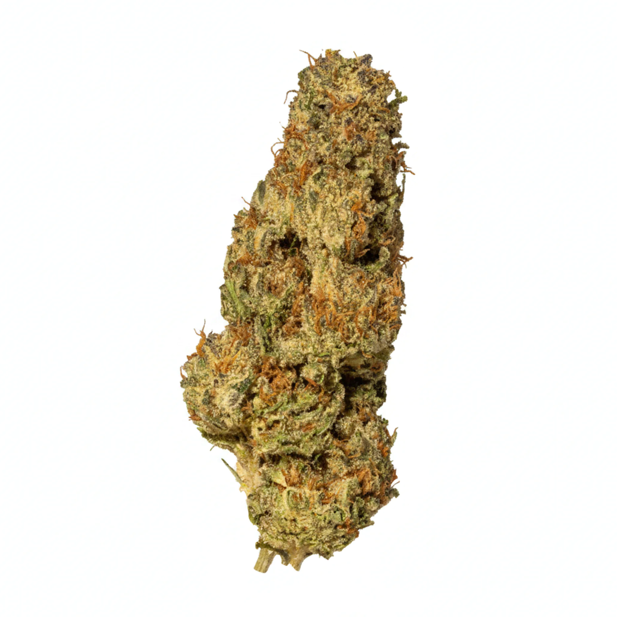 NICE 28/1 LPP Lavender x Power Plant product photo