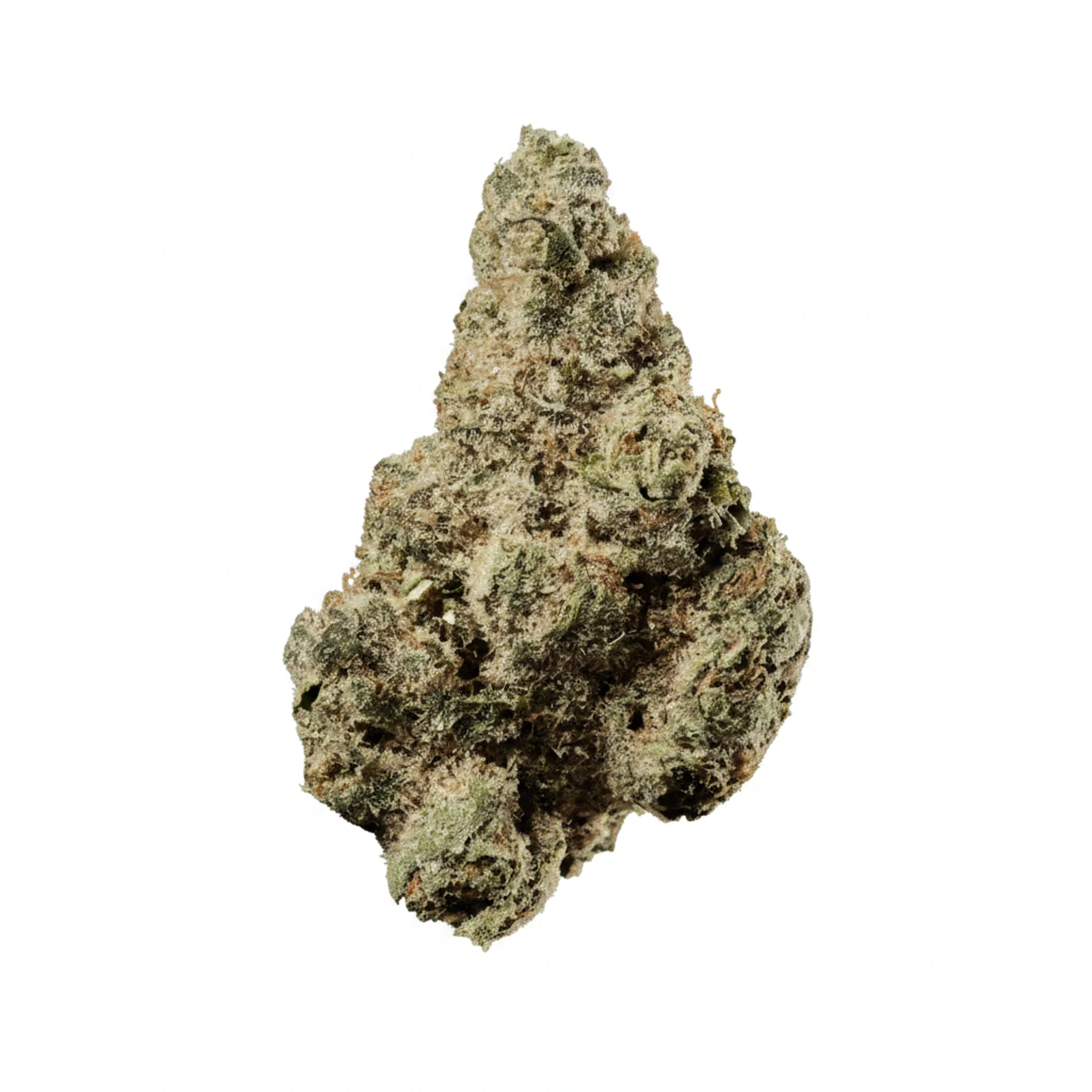 Image of 420 Evolution 27/1 CA SSK