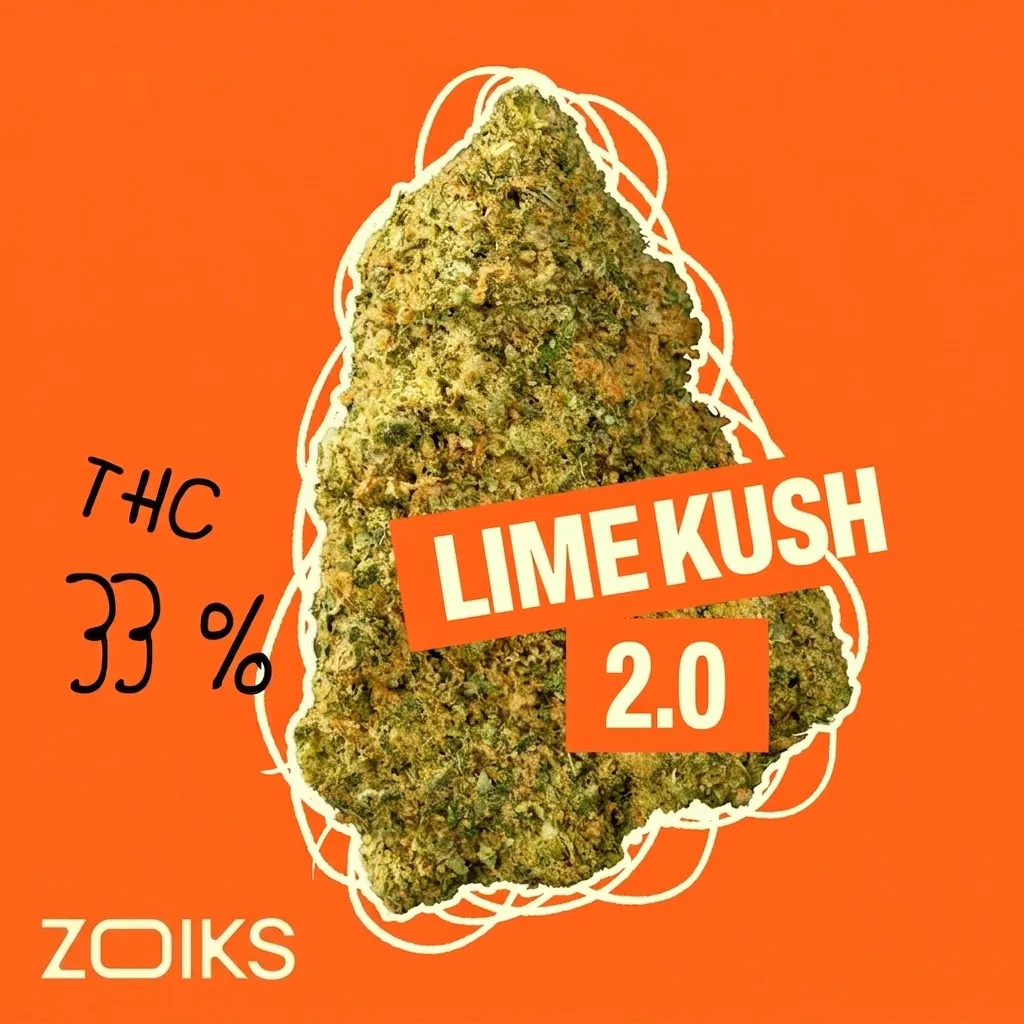 Image of ZOIKS 33/1 LK
