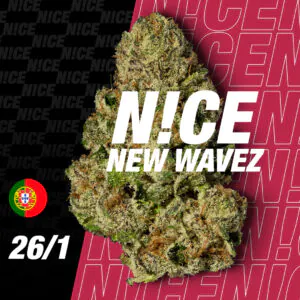 Image of 26/1 NICE NWA