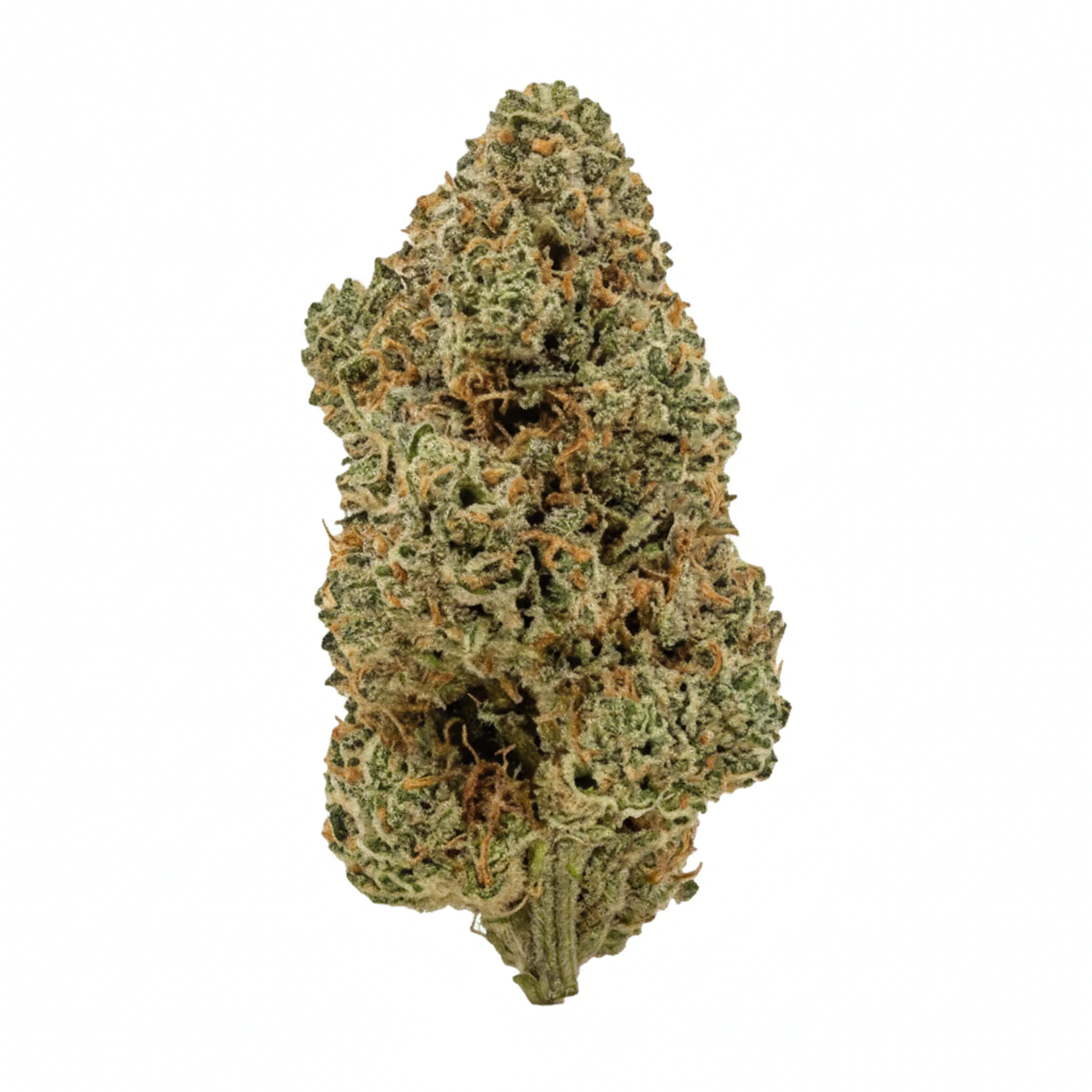 AMP KHI PUP THC25 Purple Planet Produktfoto