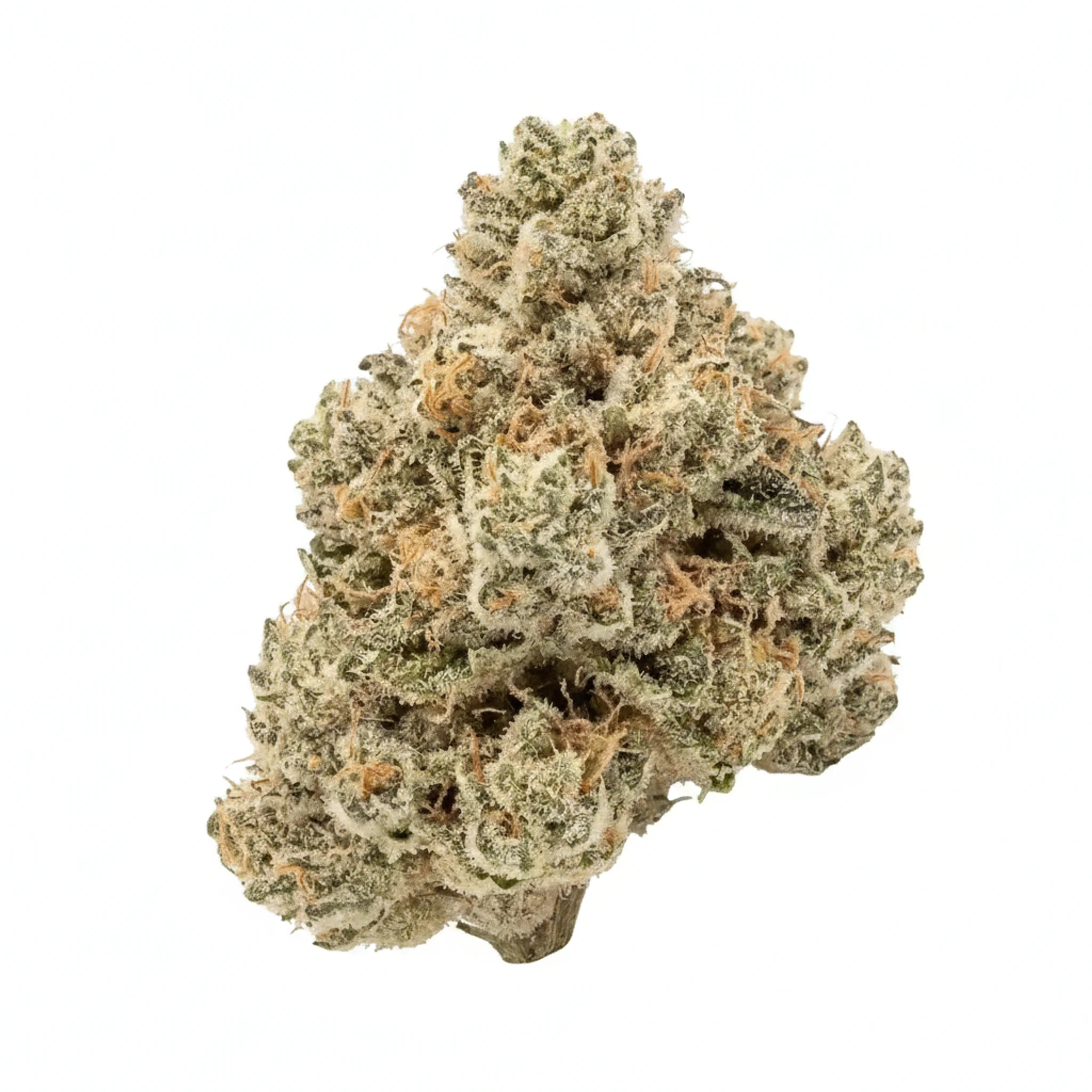 BLAYZ 22/1 KK King's Kush Produktfoto