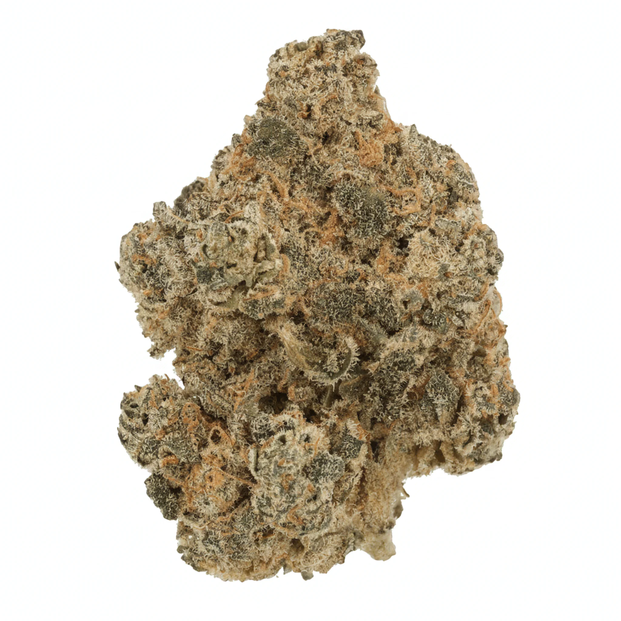 Image of Cannamedical Indica Forte BC BKM