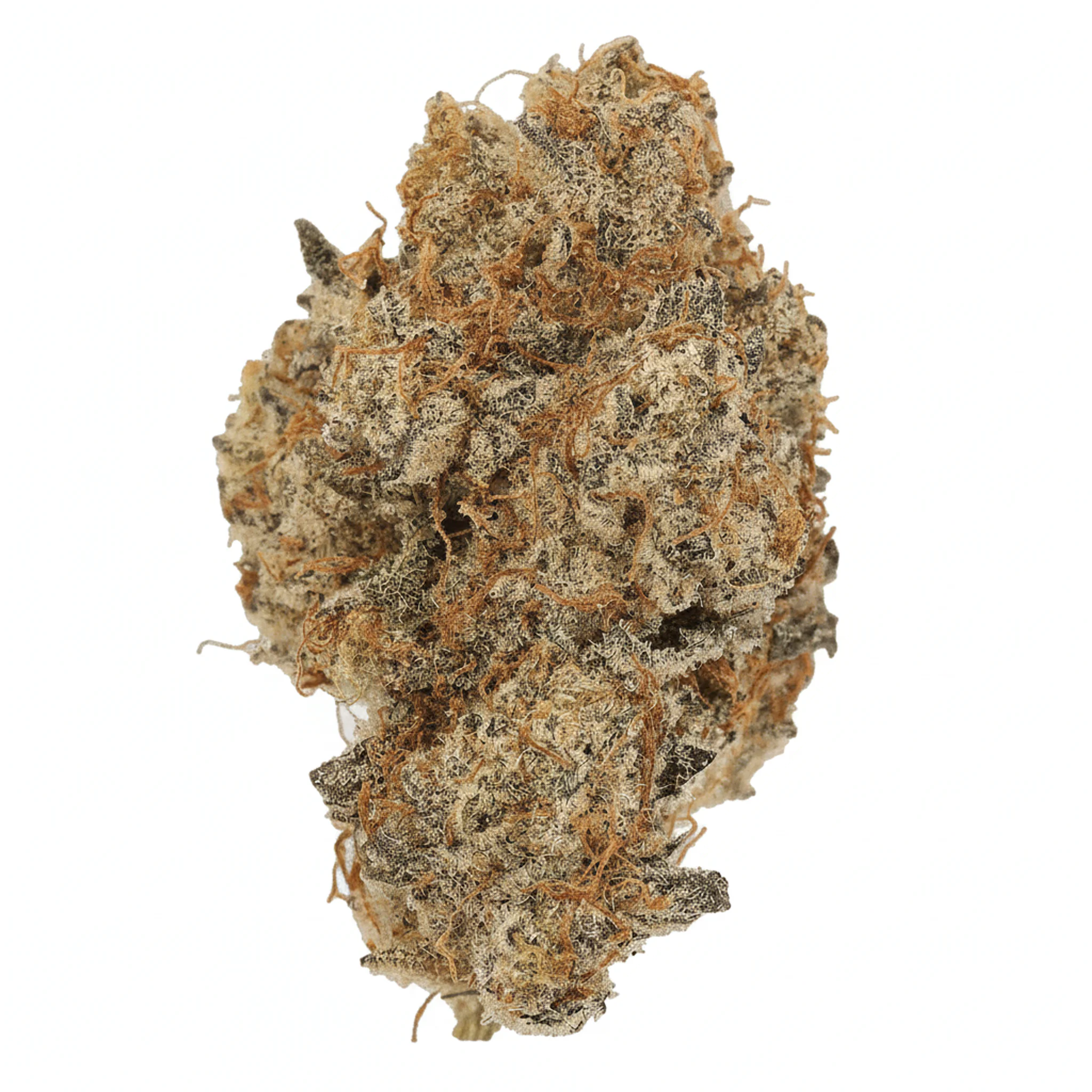 Image of Cannamedical Sativa Forte ZM