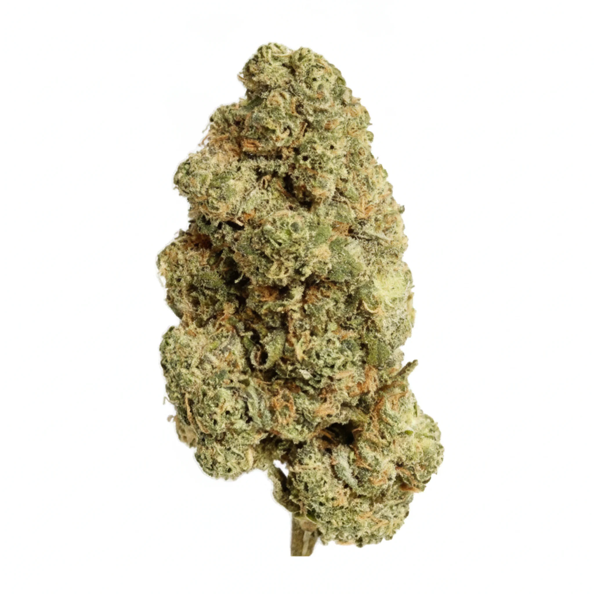 Image of Care Cannabisflower GDF THC 18