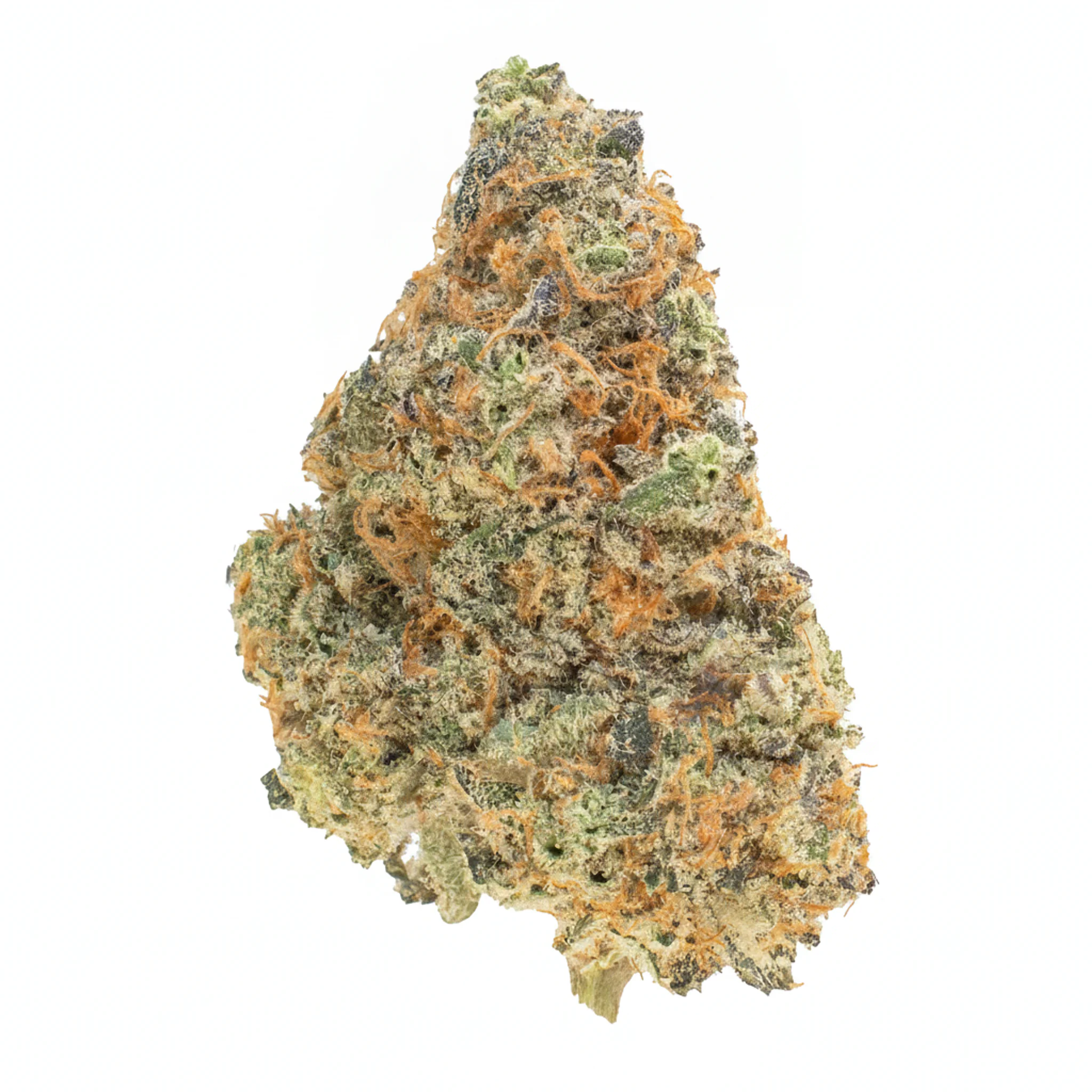 Image of CRQSH JBY 25/1 Jellyberry