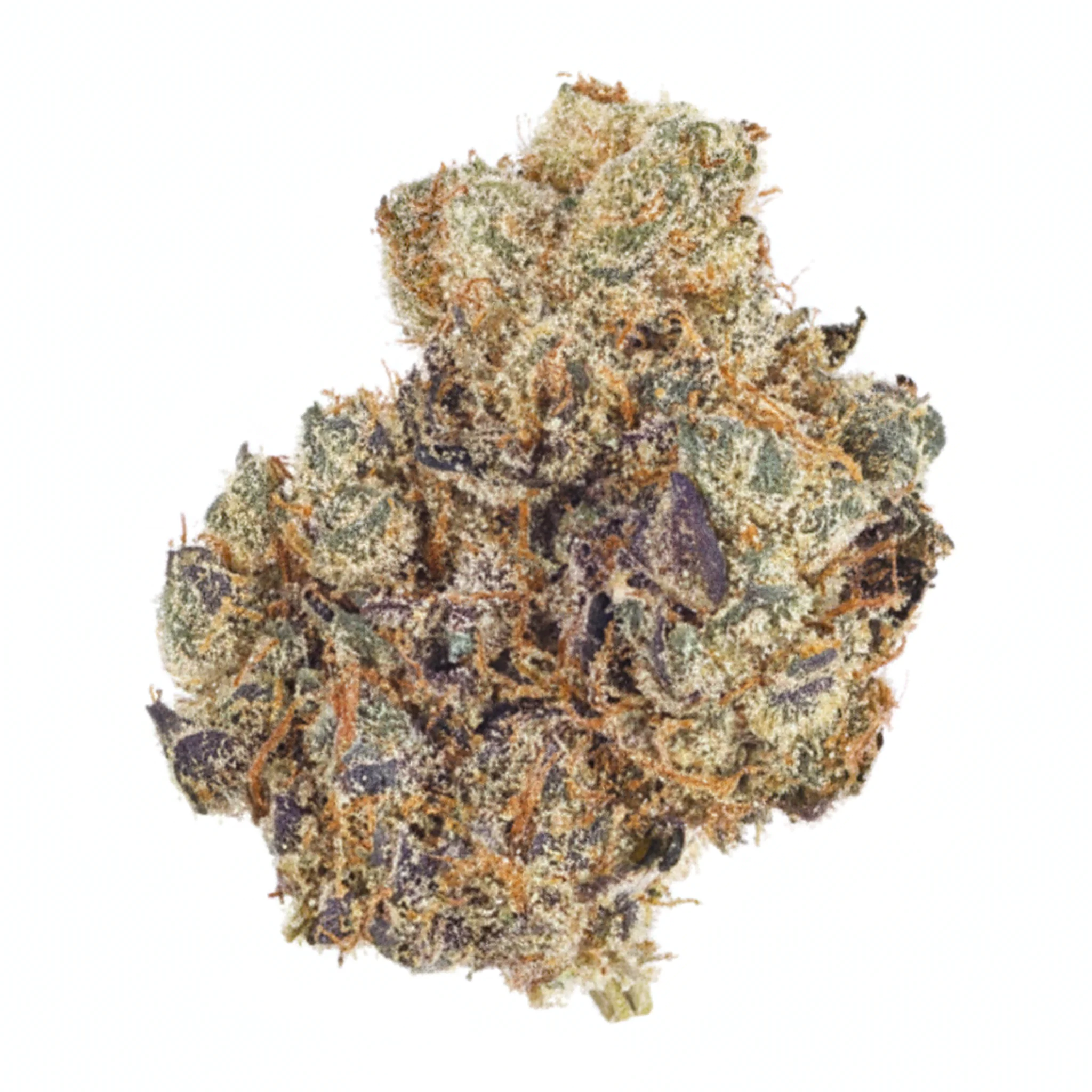 Dank Craft 26 FQ CAN Frosty Queen Produktfoto