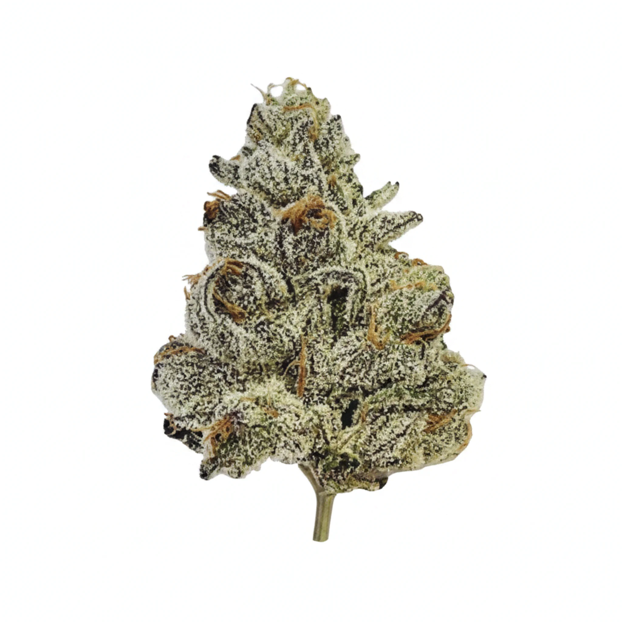 FAAFO Cannabis 27/1 GPO Gastro Pop product photo