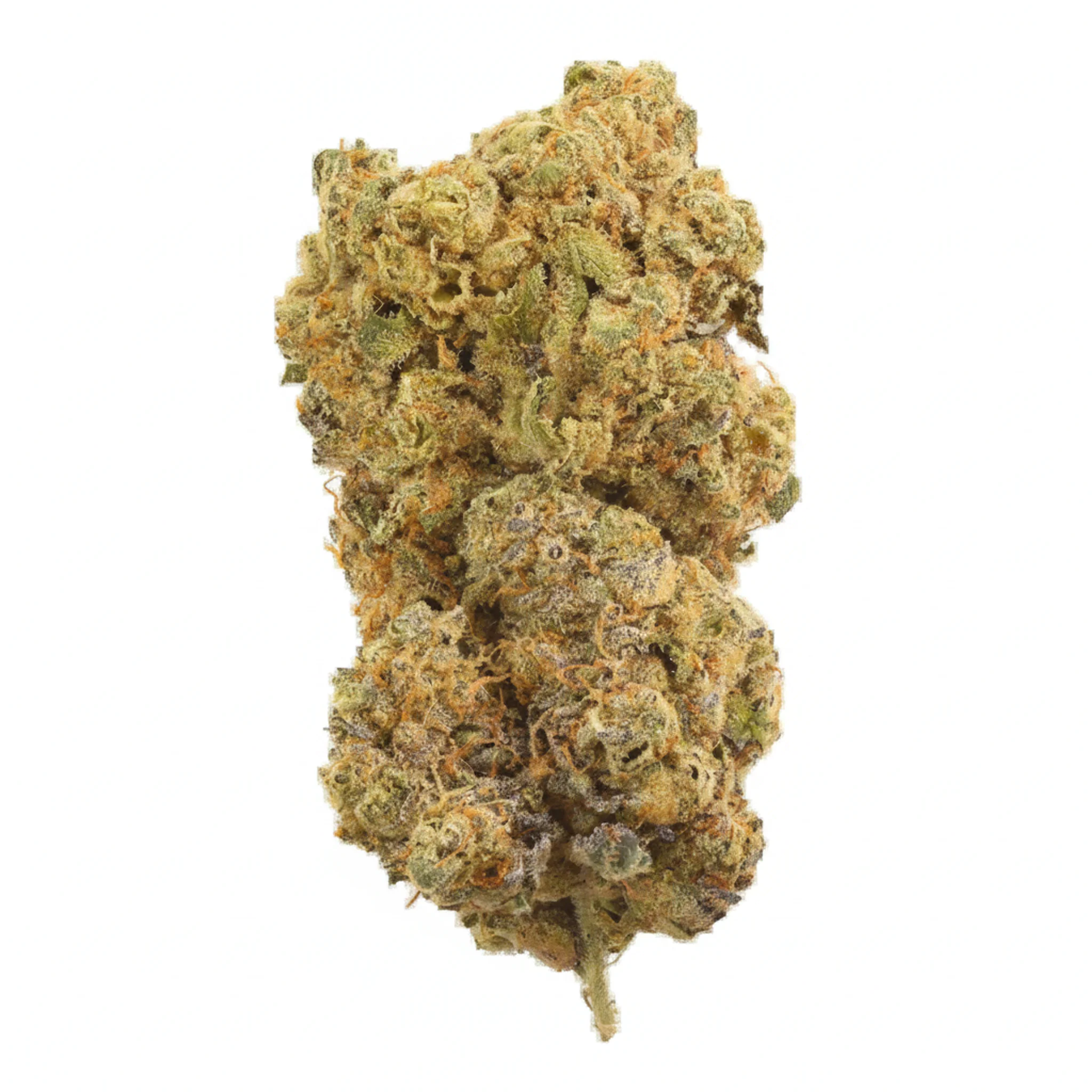 Image of J.R. Strain GW 36/1