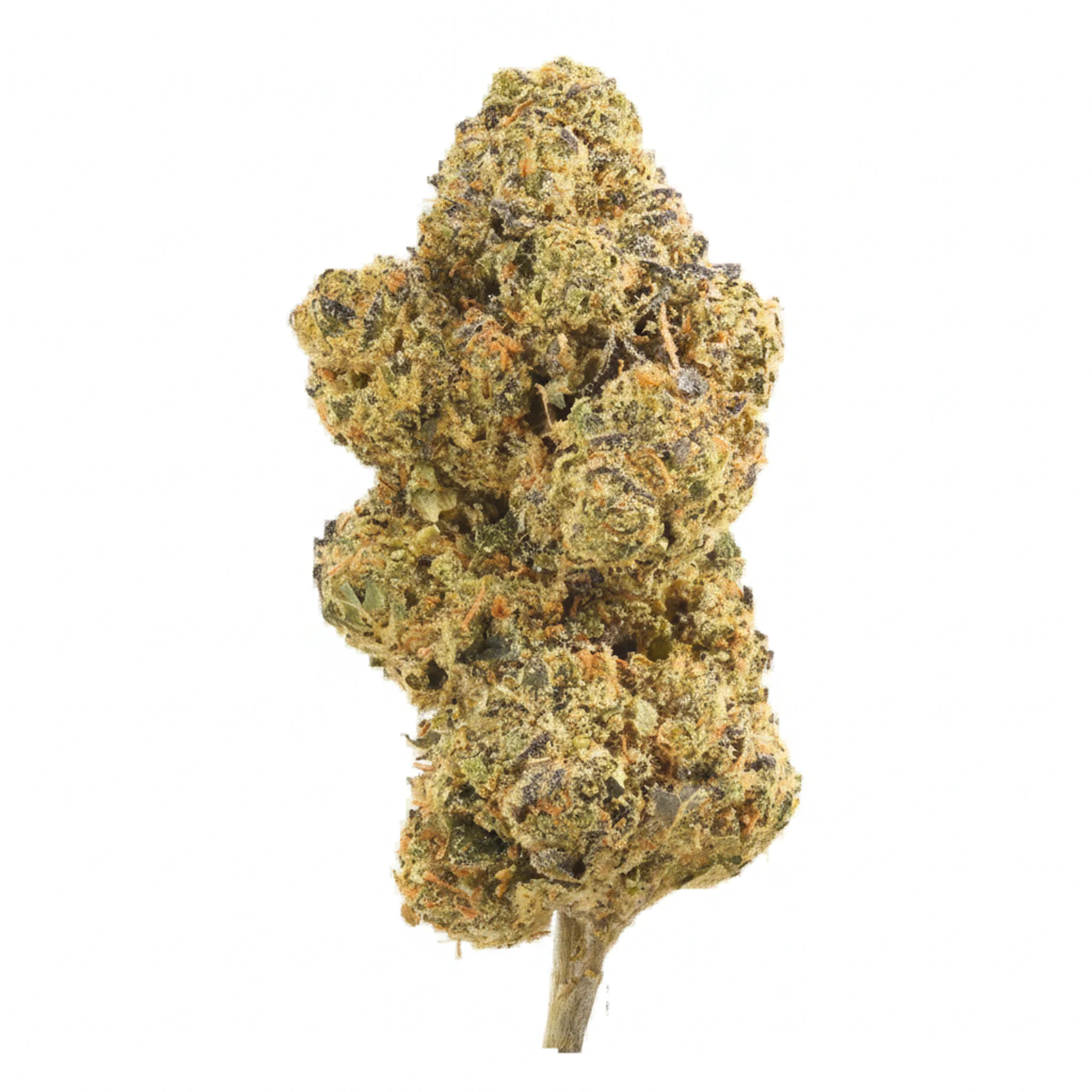 Image of J.R. Strain PM 30/1