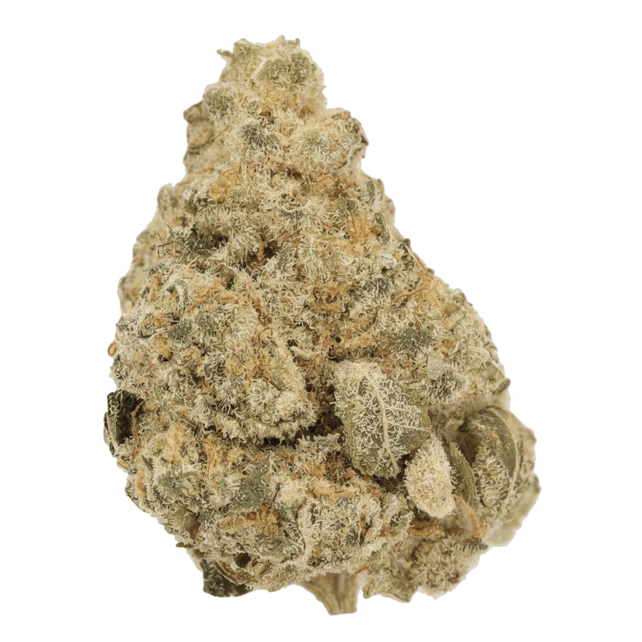 Image of Luana 28/1 LMO
