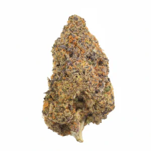 Image of Organic Sweetgrass BLT 30/1