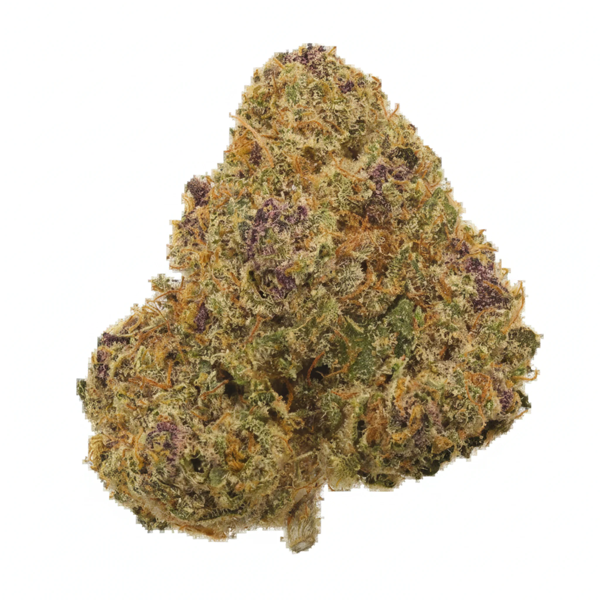 Image of Organic Sweetgrass TQN 27/1
