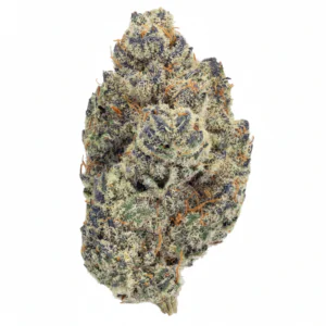 Image of PURPLEFARM 25/1 J31