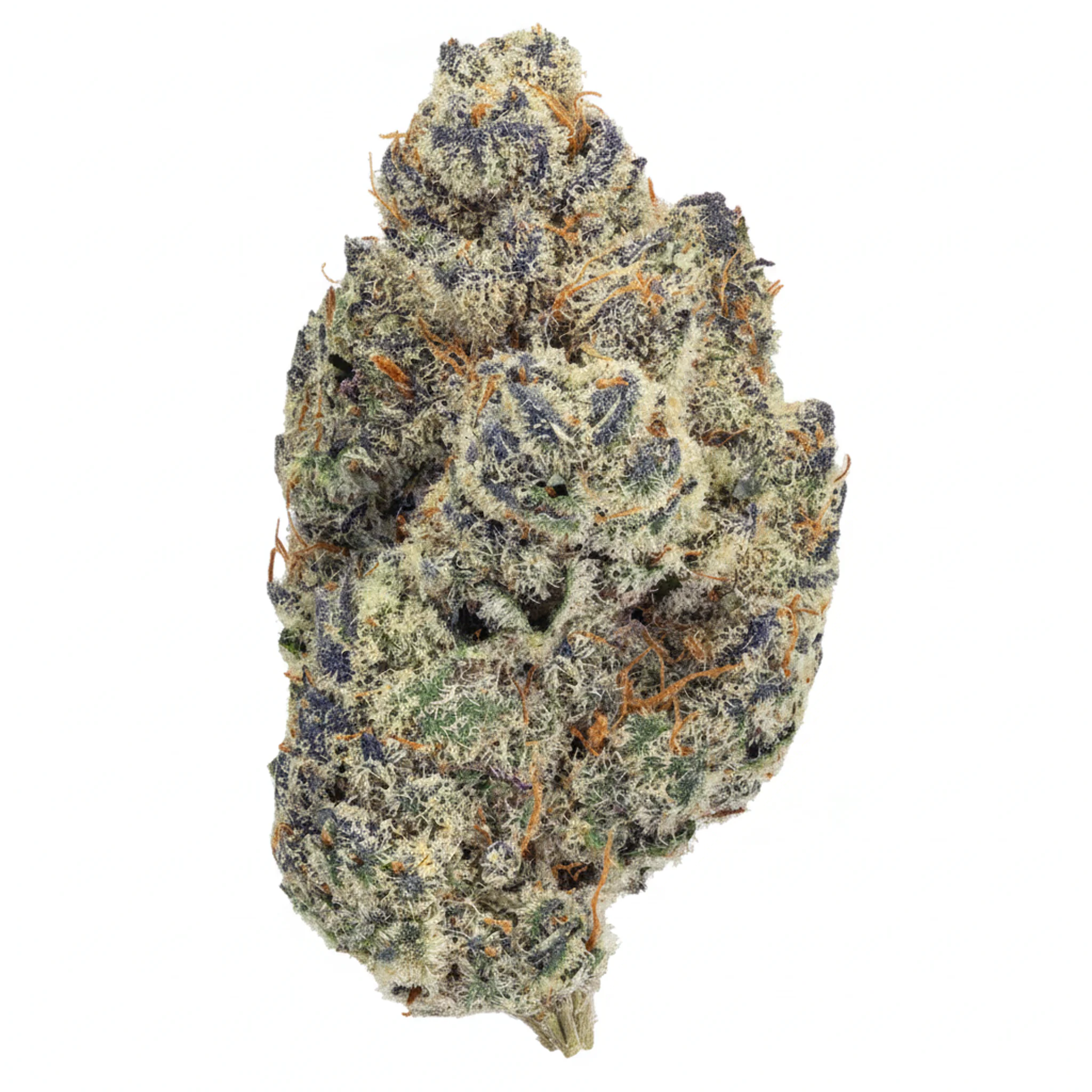 PURPLEFARM 25/1 J31 Jokerz #31 Produktfoto