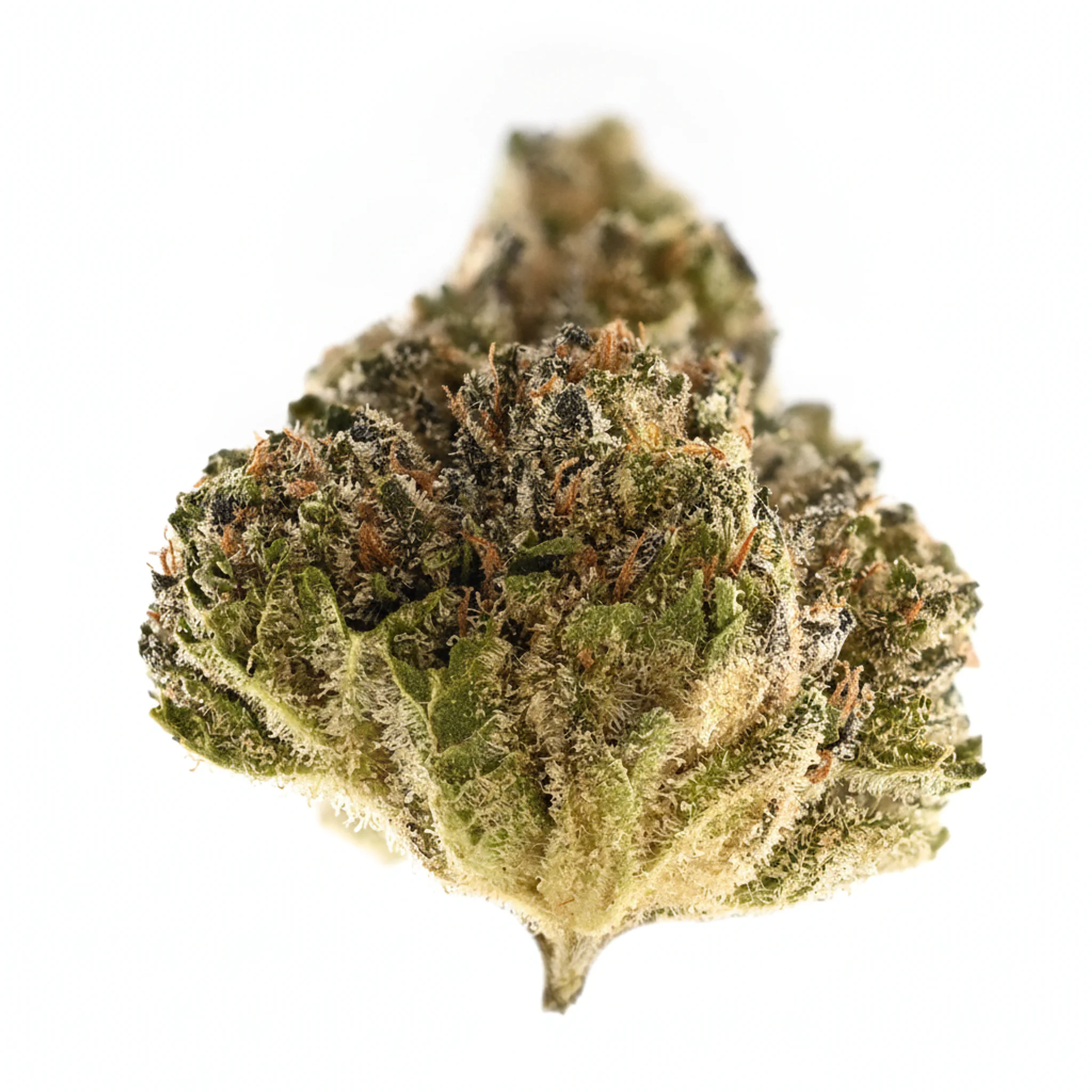 Image of TRUU GT 30:01 Crumbled Lime